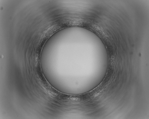 X0000088570741200706081057