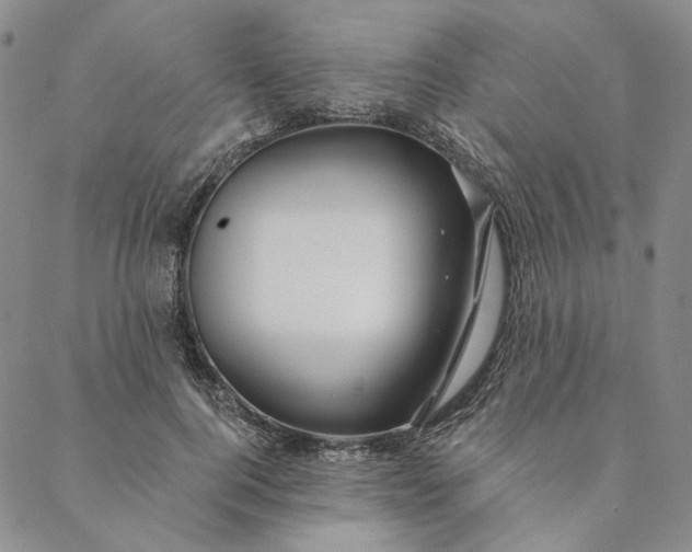 X0000088570744200706081057