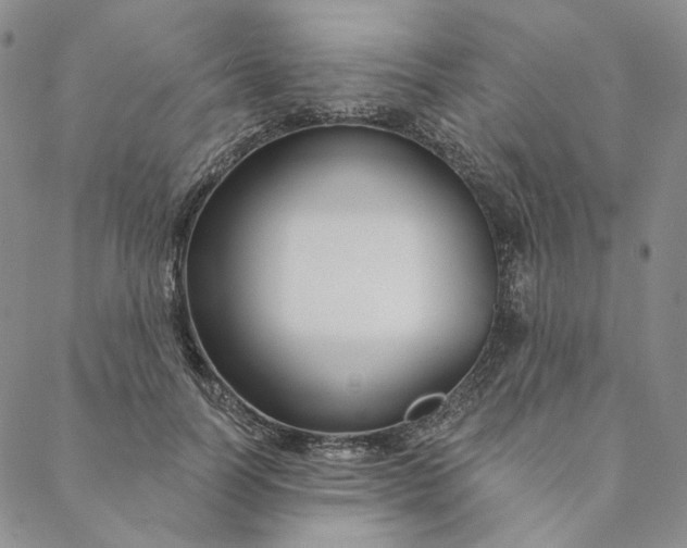 X0000088570746200706081057