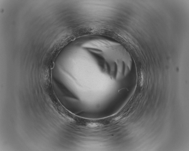 X0000088570748200706081057