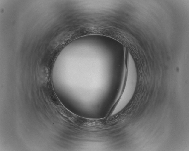 X0000088570752200706081057