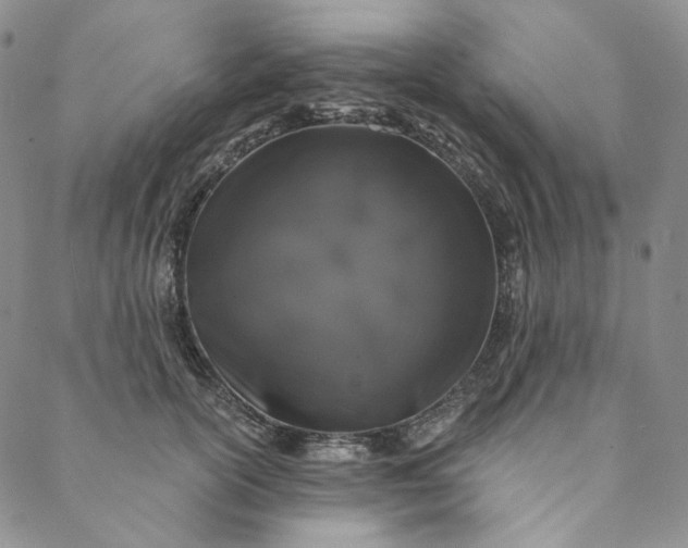 X0000088570754200706081057