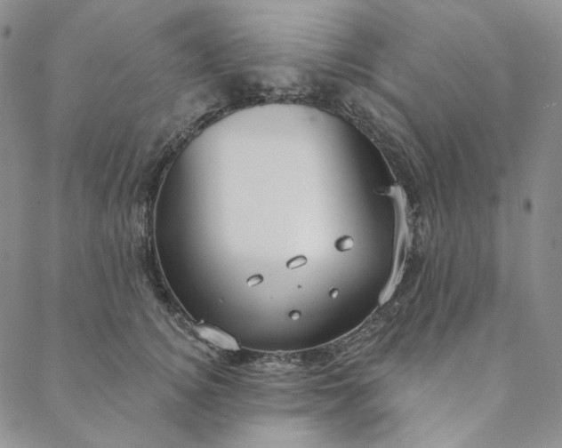 X0000088570756200706081058
