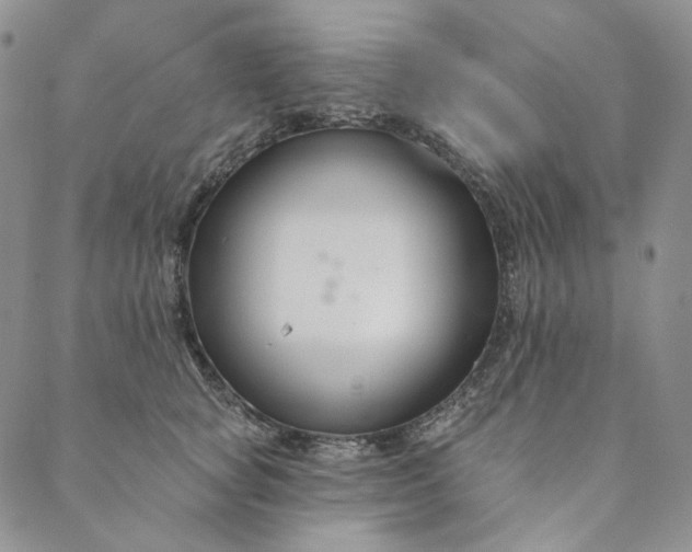 X0000088570757200706081058