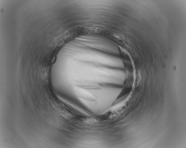 X0000088570759200706081058