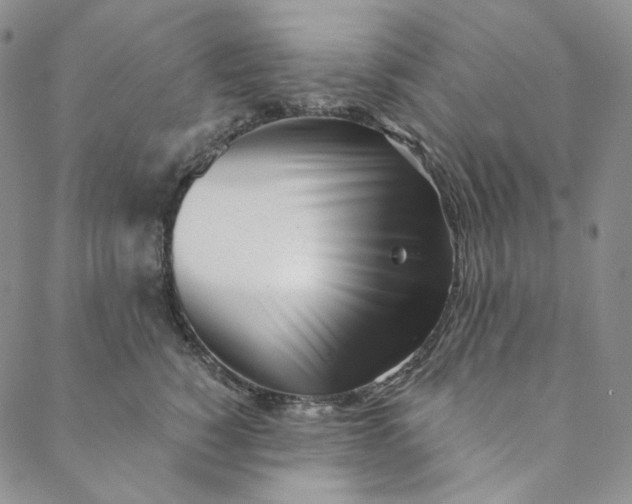 X0000088570760200706081058