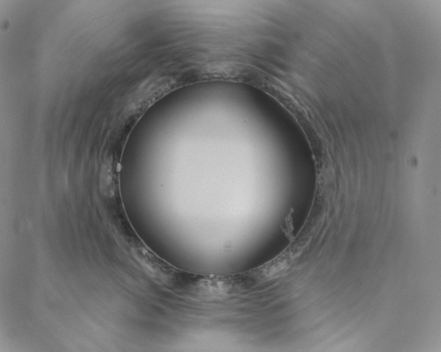 X0000088570764200706081058