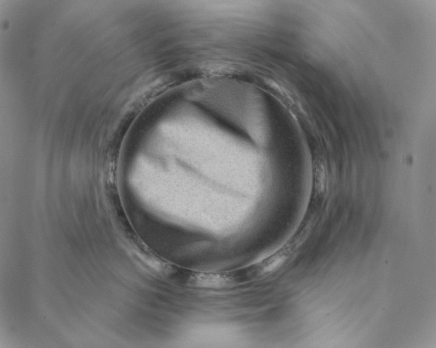 X0000088570766200706081058