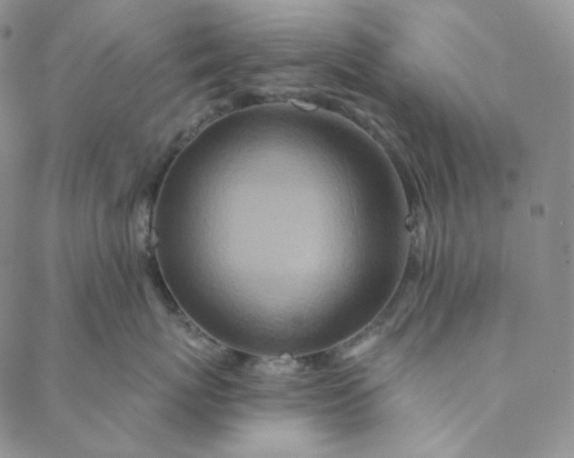 X0000088570767200706081058