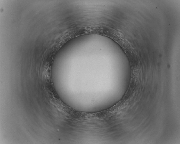 X0000088570770200706081057