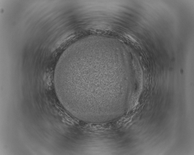 X0000088570774200706081057