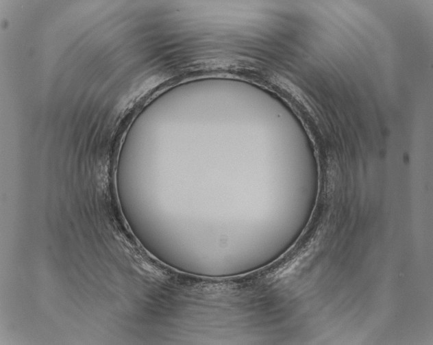X0000088570778200706081057