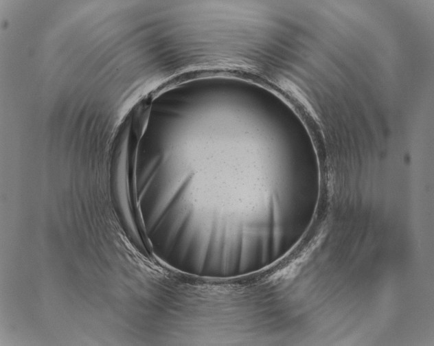 X0000088570781200706081057