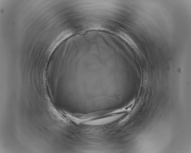 X0000088570806200706081056