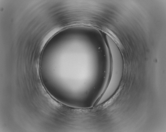 X0000088570812200706081056