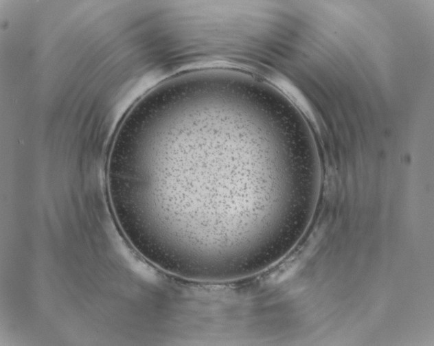 X0000088570813200706081056