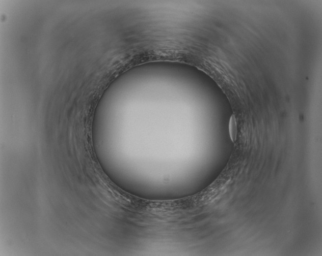 X0000088570817200706081055