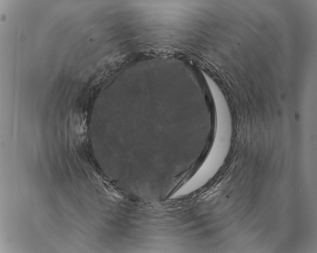 X0000088570818200706081055