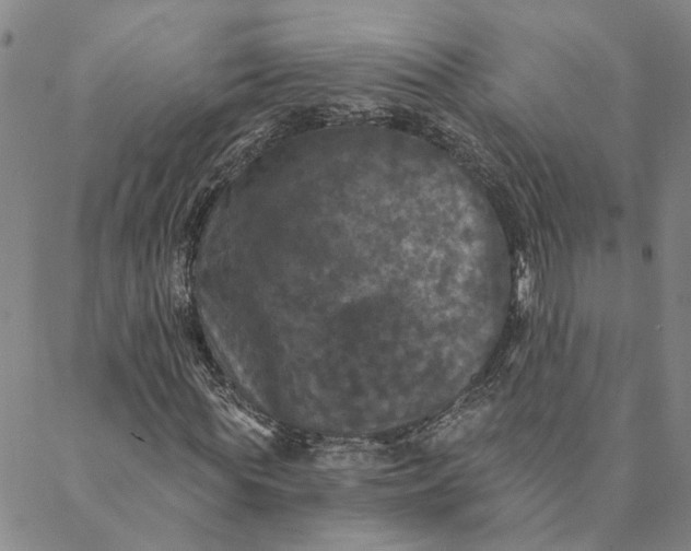 X0000088570819200706081055