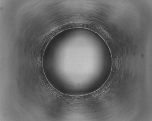 X0000088570821200706081055