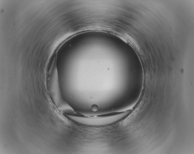 X0000088570854200706081056