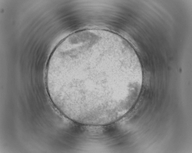 X0000088570856200706081056