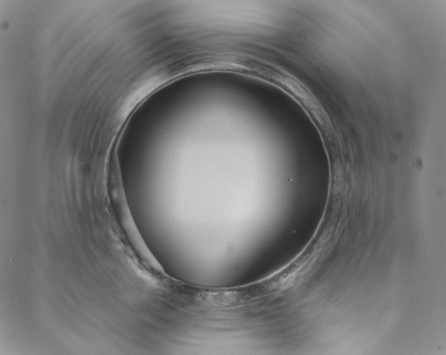 X0000088570858200706081056