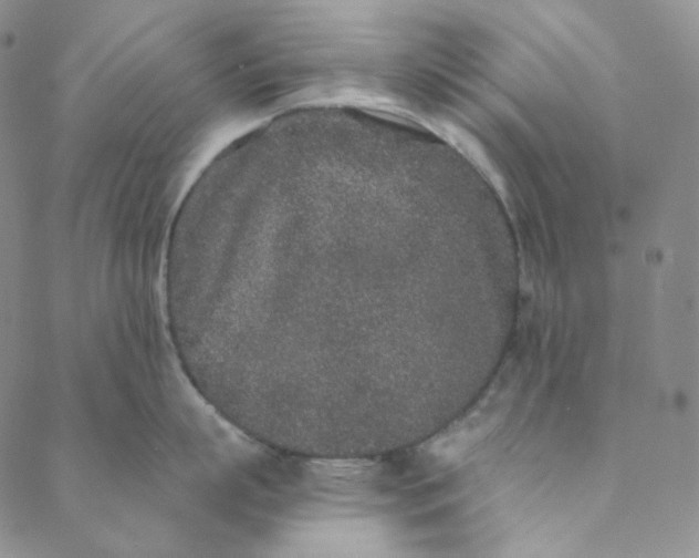 X0000088570863200706081056
