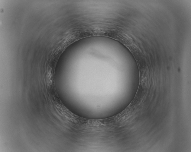 X0000088570866200706081055