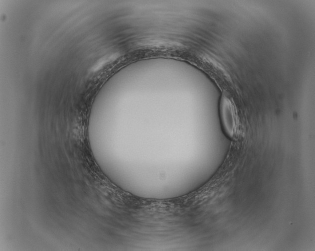 X0000088570869200706081055