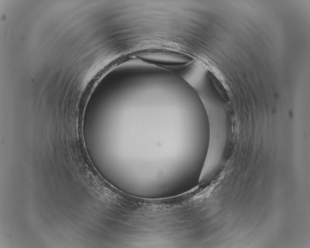 X0000088570877200706081055