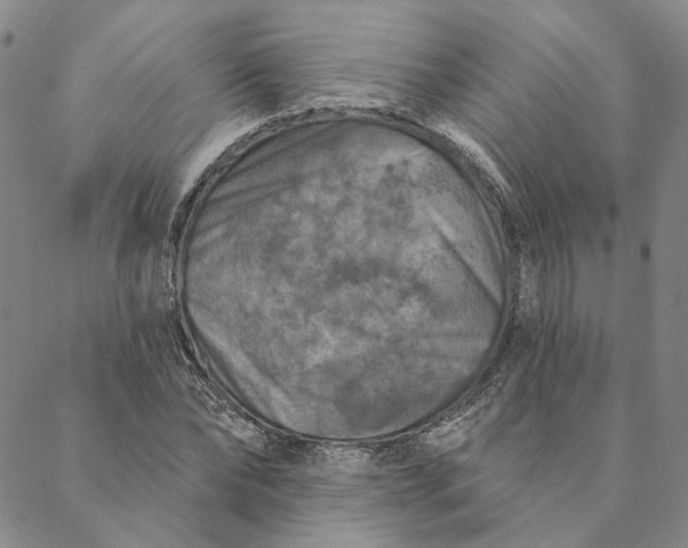 X0000088570878200706081055