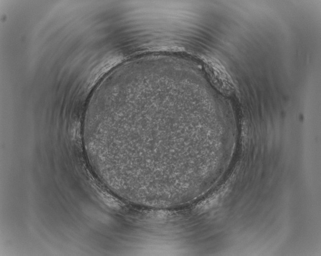X0000088570881200706081055