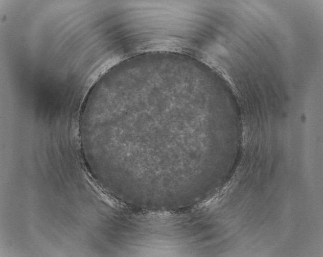 X0000088570882200706081055