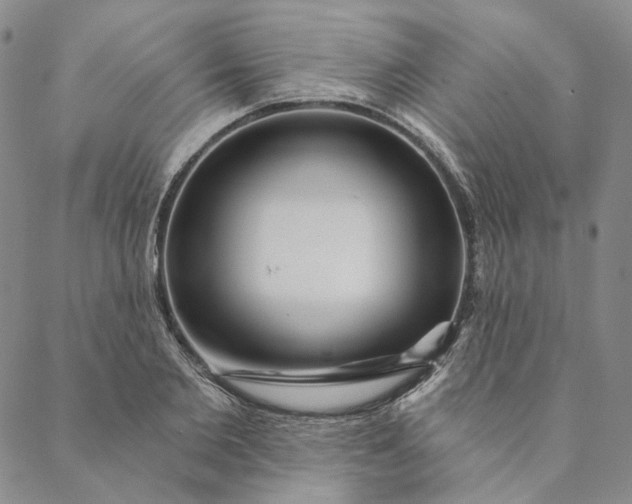 X0000088570885200706081055