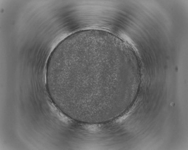 X0000088570892200706081055