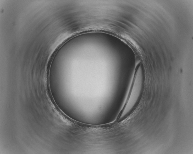 X0000088570894200706081055