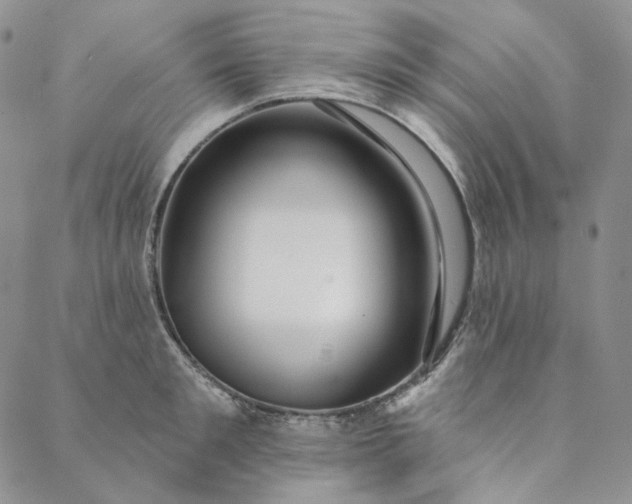 X0000088570901200706081055