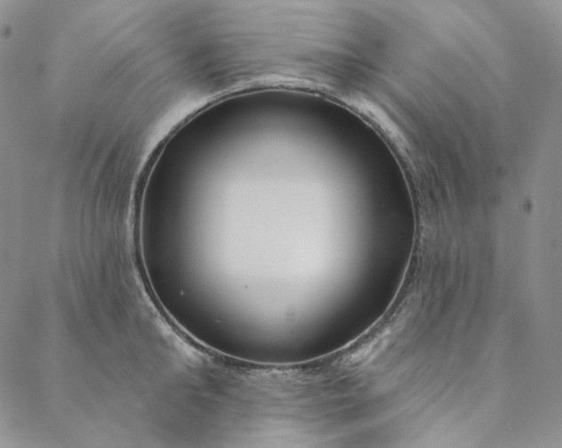 X0000088570902200706081055