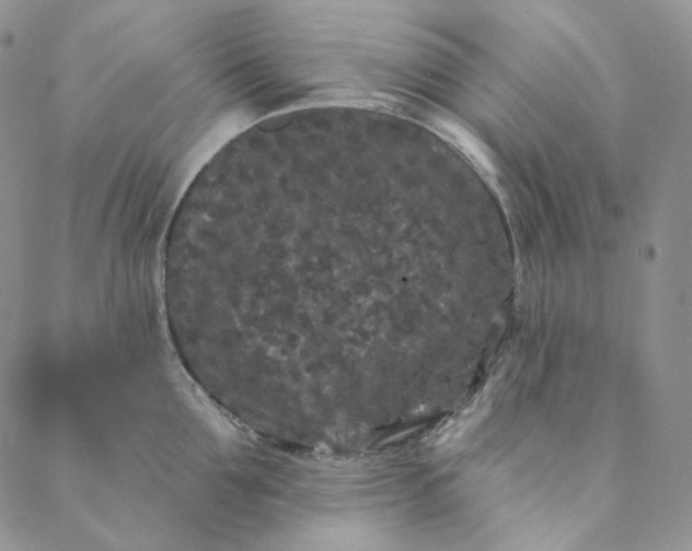 X0000088570907200706081055