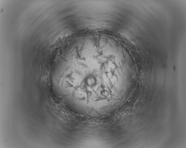 X0000088570917200706081054