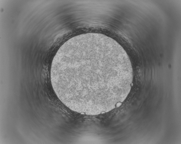 X0000088570918200706081054