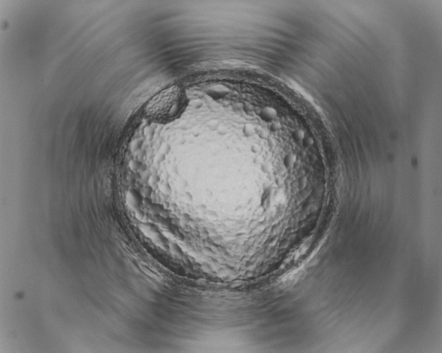 X0000088570921200706081054