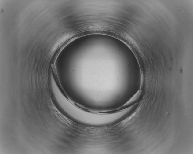 X0000088570930200706081054