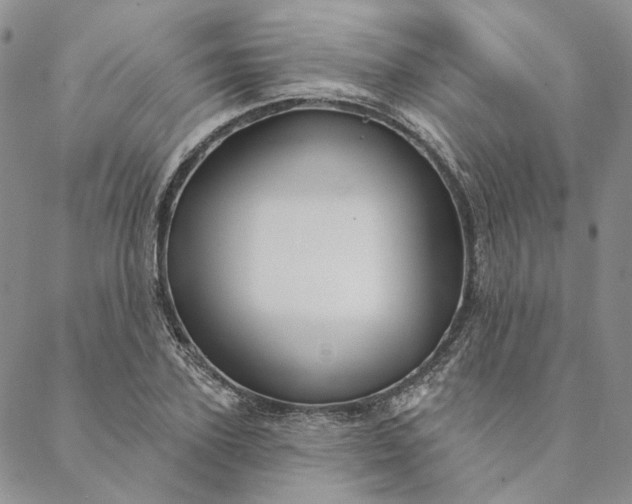 X0000088570931200706081054