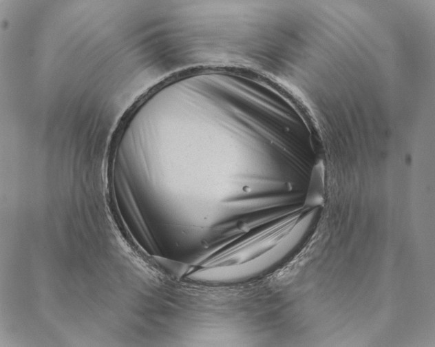 X0000088570935200706081054