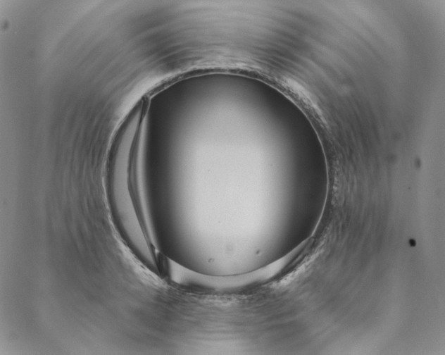 X0000088570942200706081054