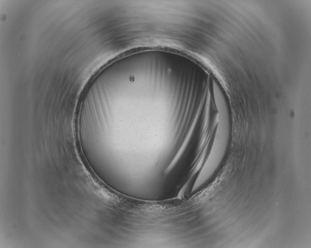 X0000088570943200706081054