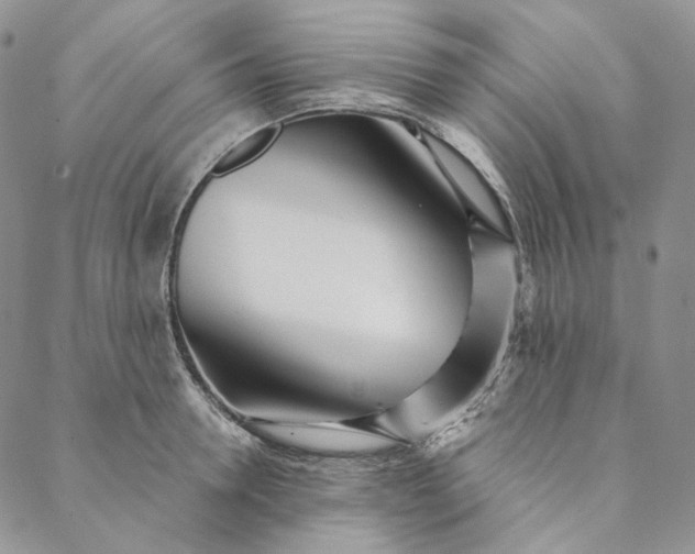 X0000088570946200706081054