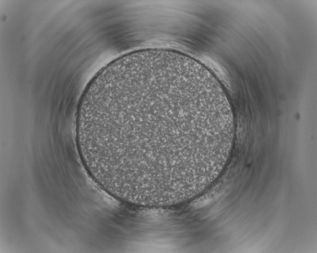 X0000088570950200706081054